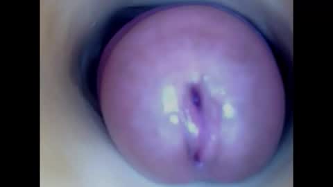 Snapshot of paulainoscente chatting on February 26, 4:27 pm Paula 18 Aninhos online show from February 26, 4:27 pm