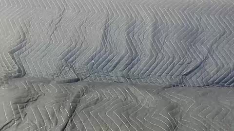 paupam online show from January 26, 7:31 pm