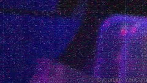 payneskt online show from February 10, 3:15 pm