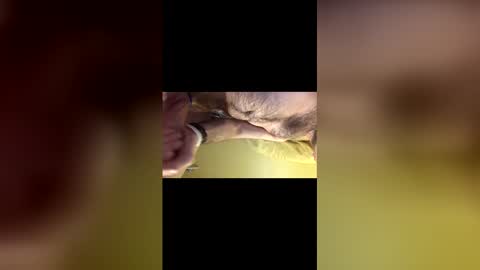 pc2334 online show from January 14, 11:02 pm