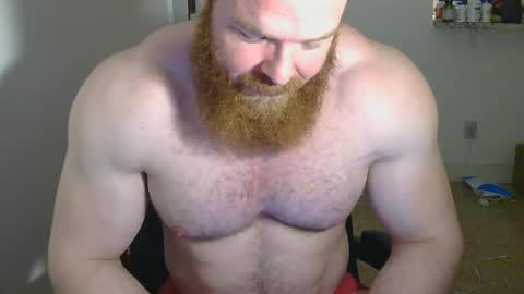 Pec inspector online show from February 13, 3:50 am