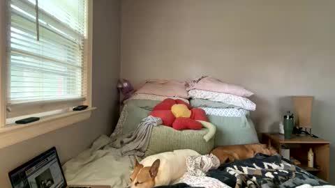 pegggggysue69 online show from March 20, 7:30 pm