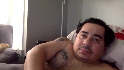 perro2010joshua online show from January 11, 3:52 pm