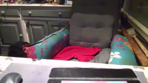 Snapshot of peter_on_kik chatting on November 1, 4:22 am make me cum in pvt dutch german daddy c2c bigcock online show from November 1, 4:22 am