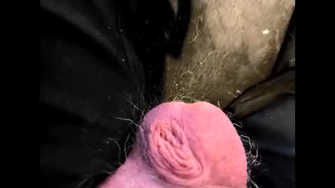 petrol63102 online show from February 20, 1:24 pm