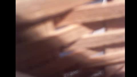 Snapshot of pg19531107 chatting on October 29, 9:37 pm Paul online show from October 29, 9:37 pm