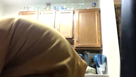 Phil online show from January 21, 3:15 am