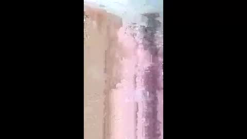 pitoloko73 online show from April 7, 9:00 am