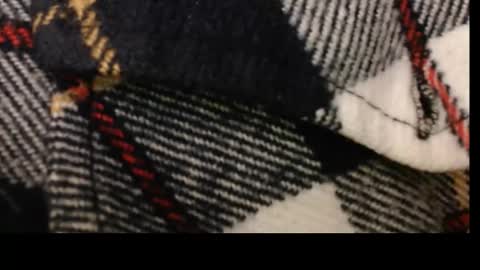 pllkgh45ymn online show from September 10, 4:41 pm