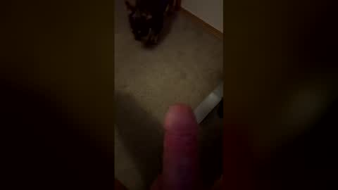 pnwfun123 online show from February 10, 1:52 am