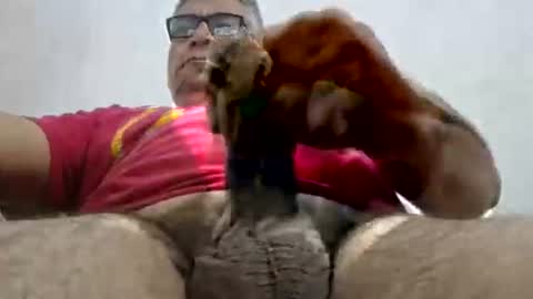 poli online show from February 15, 11:03 pm