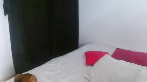 porcelainlux online show from April 14, 2:37 am