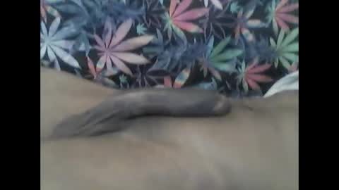 Libra Lamont online show from January 26, 12:47 am