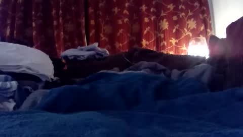 Snapshot of pretty_boy_jack chatting on February 25, 6:03 am pretty_boy_jack online show from February 25, 6:03 am