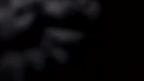 Snapshot of pretty_boy_jack chatting on February 28, 10:52 am pretty_boy_jack online show from February 28, 10:52 am