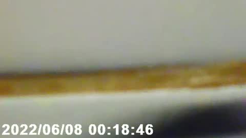 Snapshot of pretty_boy_jack chatting on February 12, 2:56 am pretty_boy_jack online show from February 12, 2:56 am