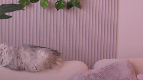 Elina online show from May 21, 10:44 am