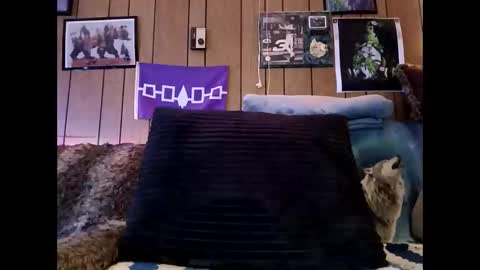 prettysolid7 online show from March 3, 11:45 pm