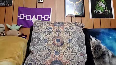 prettysolidd7 online show from January 28, 8:57 am