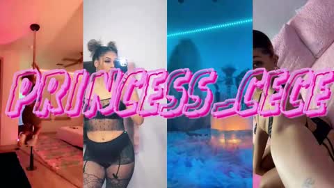 Snapshot of princess_cece chatting on February 15, 3:42 am Cece  NEXT LIVESTREAM -- DEC. 4th  7 PM CST online show from February 15, 3:42 am