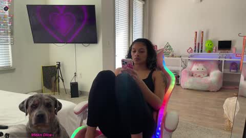 Snapshot of princess_cece chatting on January 12, 8:47 pm Cece  NEXT LIVESTREAM -- DEC. 4th  7 PM CST online show from January 12, 8:47 pm