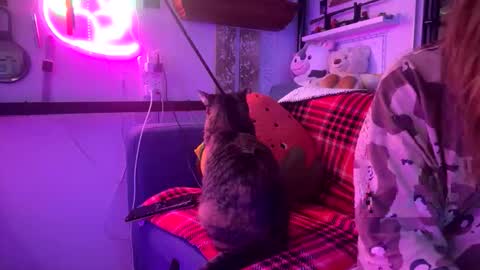 princessreignxo online show from April 3, 9:16 am