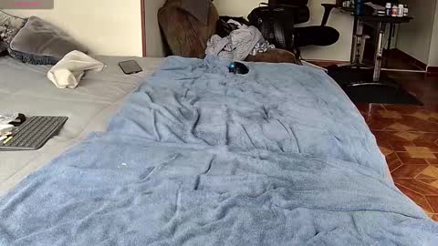 Probardetodo independent model online show from February 1, 1:41 pm