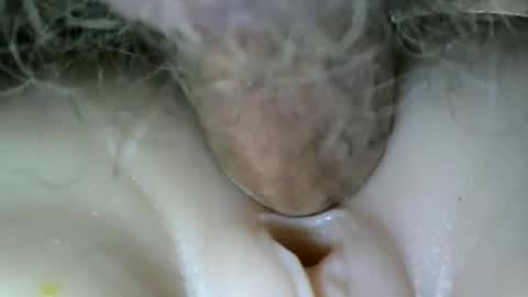 Snapshot of protecbuzz chatting on October 31, 12:00 am needtocum online show from October 31, 12:00 am