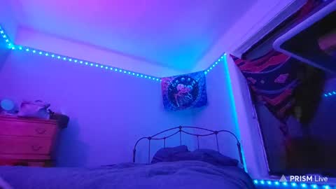 puddled_wonderland online show from January 29, 5:40 am