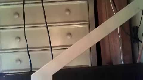 puss123176428 online show from December 28, 4:20 pm