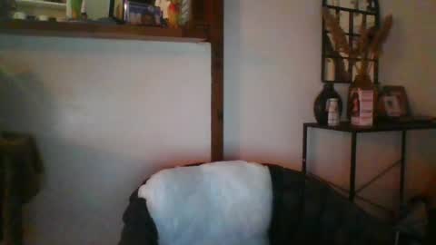 Python online show from July 31, 2:34 am