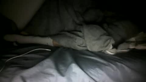 qptbi online show from October 30, 1:50 am