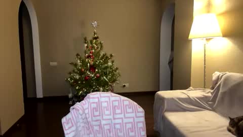 Viktoria online show from January 6, 5:28 pm