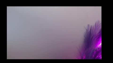 Queen Rosee  online show from February 5, 12:58 am