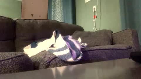 queenkitty477 online show from January 6, 4:27 am