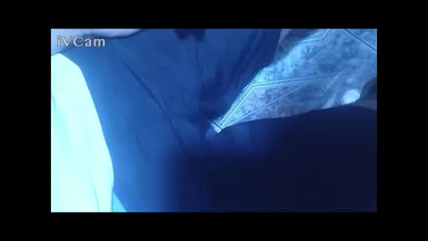 radamantis97 online show from March 15, 5:05 pm