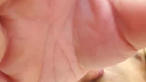 Snapshot of raidehot chatting on October 14, 9:56 am raidehot online show from October 14, 9:56 am