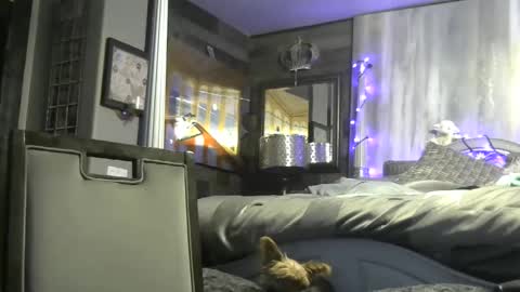 Randy8inbater online show from October 2, 6:23 am