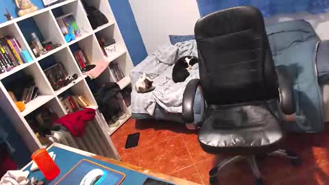 ravingr3d3 online show from February 2, 11:23 pm