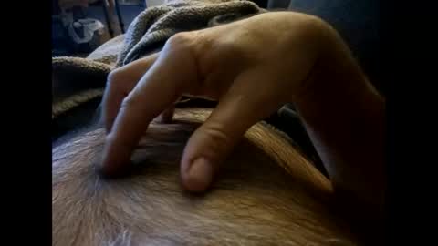 rdt2030 online show from December 8, 7:54 pm