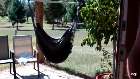 ready4aride2day online show from October 5, 5:09 pm