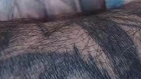 realrubpirate online show from April 12, 7:56 am