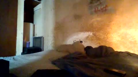 reddragon1195 online show from March 23, 2:16 am