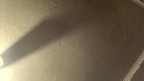 Rick online show from December 4, 6:51 pm