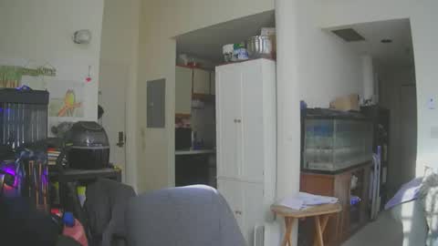 rickl56 online show from February 24, 6:33 pm