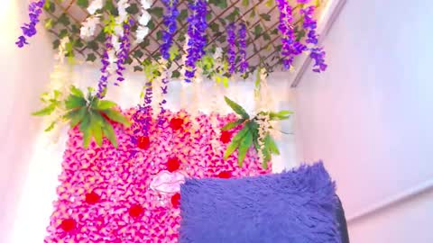 Risitos De Oro online show from November 27, 8:05 pm