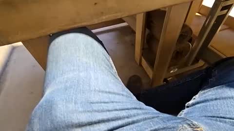 robbiebob6828 online show from March 2, 10:49 pm