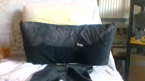 ronbig8inch online show from November 11, 1:24 pm