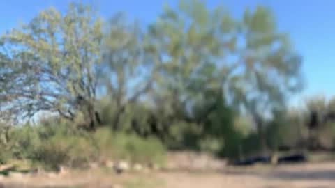 ronin098 online show from November 10, 10:34 pm