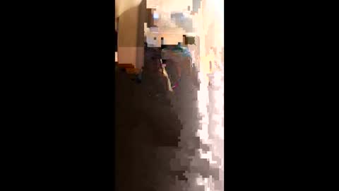 Ronnyman online show from April 4, 1:12 am